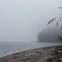 Foggy beach - Moesgard.